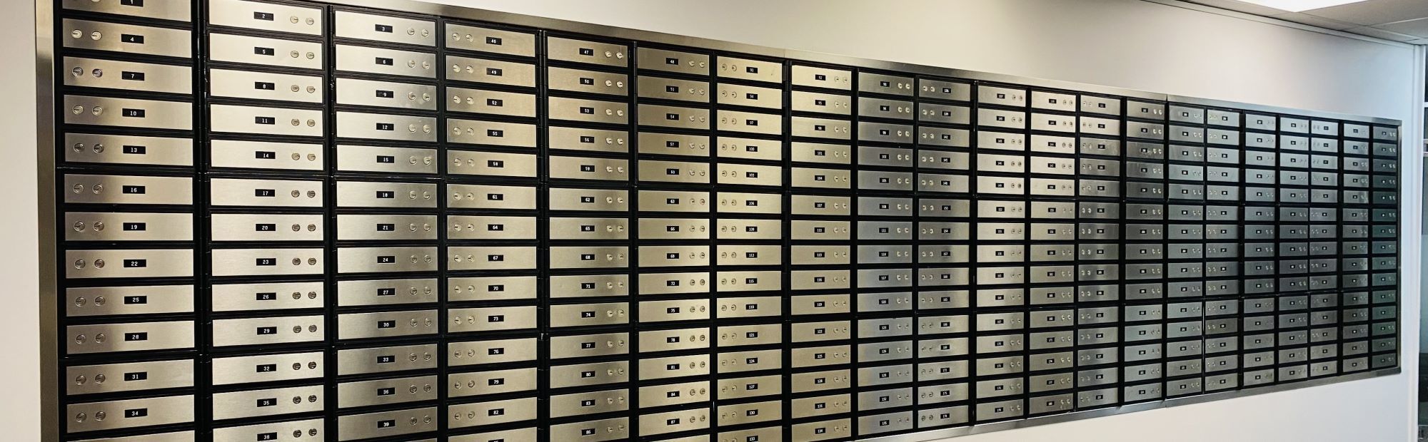 safe deposit box wellington